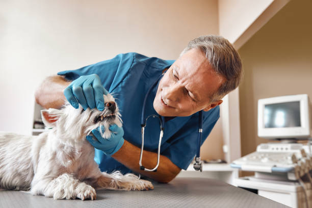 Best Emergency Dentist for Knocked-Out Tooth in Kiawah Island, SC